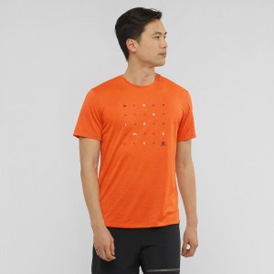 Salomon Agile Grafisk Tee M Toppe Herre Orange | 14852-JSIN