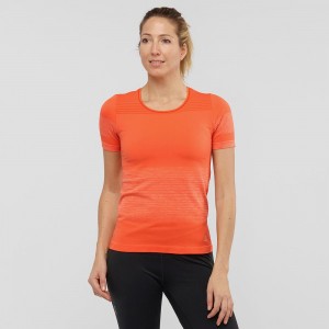 Salomon Essential Move On Seamless T Shirts Dame Orange | 19028-KHTQ