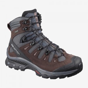 Salomon Quest 4D 3 Gtx W Trekking Dame Gray | 84723-IGTX