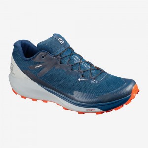 Salomon Sense Ride 3 Gtx Invis. Fit Trail Løbesko Herre Blå | 23406-DHNC