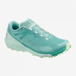 Salomon Sense Ride 3 W Trail Løbesko Dame Grøn | 37651-CDGS