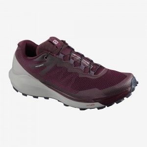 Salomon Sense Ride 3 W Trail Løbesko Dame Hvide | 59231-BULV