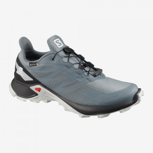 Salomon Supercross Blast Gtx Trail Løbesko Herre Gray | 38491-HECM