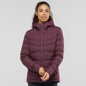 Salomon Transition Down Hoodie W Jakke Dame Lilla | 60783-HTZI