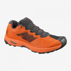 Salomon X Alpine Pro Trail Løbesko Herre Orange | 54219-DBSV