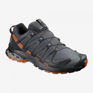 Salomon Xa Pro 3D V8 Gore-Tex Trail Løbesko Herre Gray | 01437-LNIQ