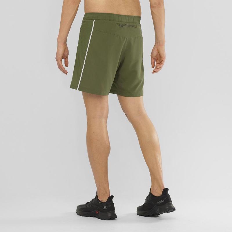 Salomon Agile 2In1 Shorts Herre Grøn | 26197-ZGHN