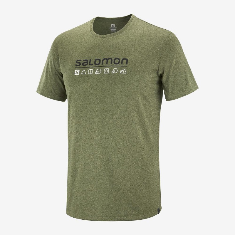 Salomon Agile Grafisk Tee M Toppe Herre Grøn | 04726-COMP