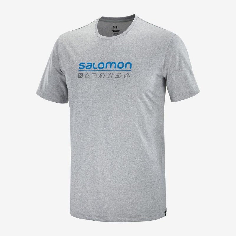 Salomon Agile Grafisk Tee M Toppe Herre Gray | 47819-CIMW