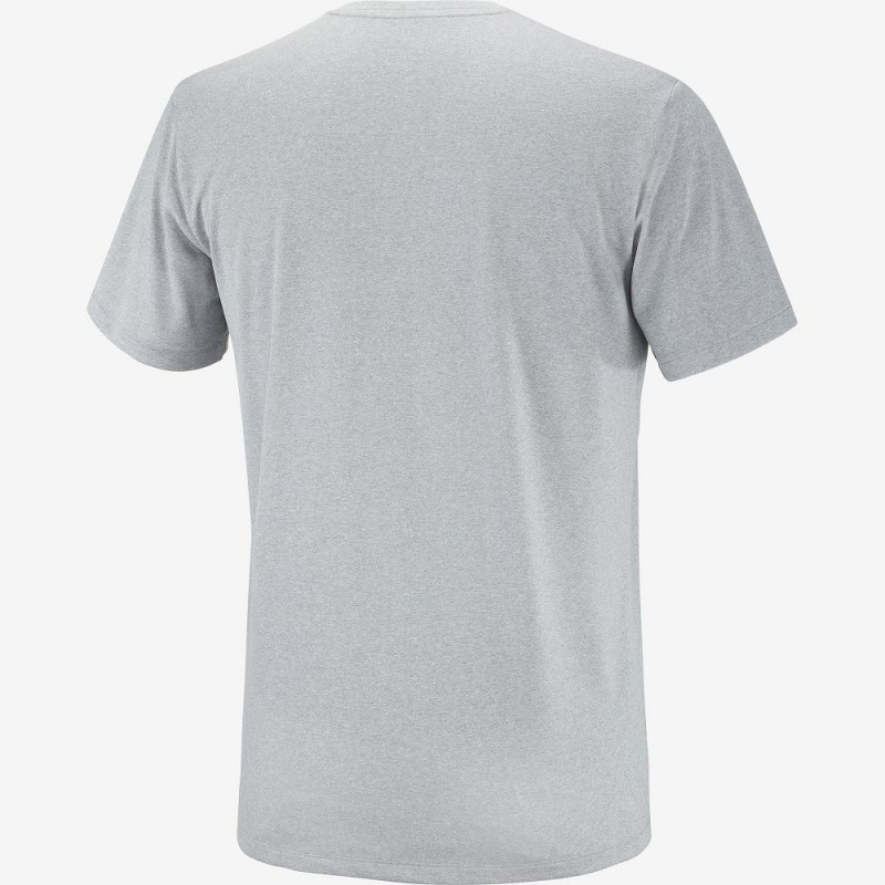 Salomon Agile Grafisk Tee M Toppe Herre Gray | 47819-CIMW