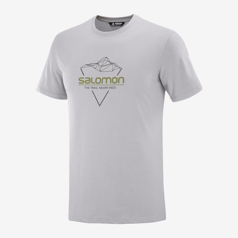 Salomon Blend Logo Tee M T Shirts Herre Gray | 45863-IYDF