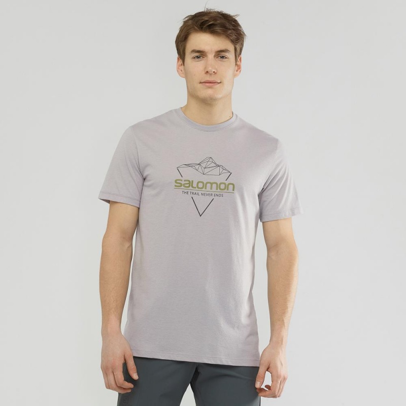 Salomon Blend Logo Tee M T Shirts Herre Gray | 45863-IYDF