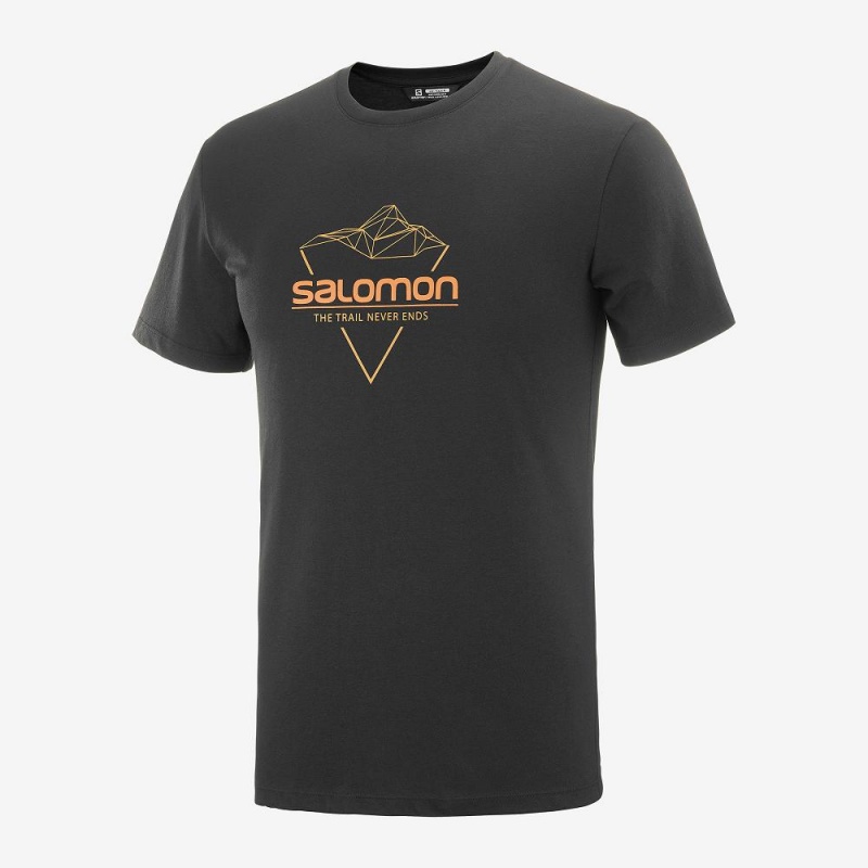 Salomon Blend Logo Tee M T Shirts Herre Sort | 84126-RKIQ