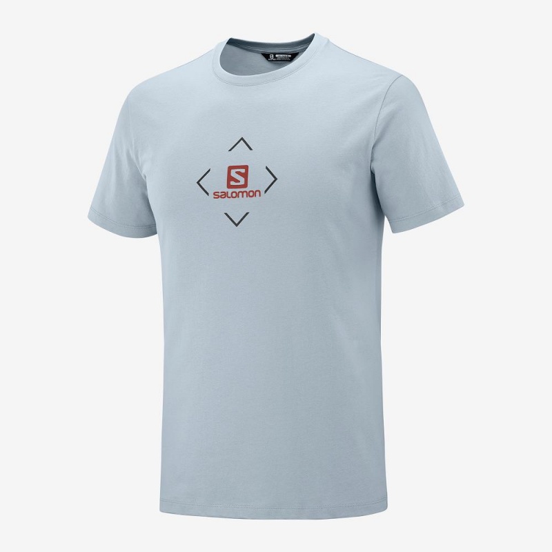 Salomon Salomon Bomulds Tee M T Shirts Herre Blå | 65780-EVRS