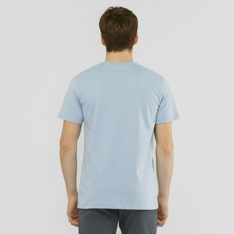 Salomon Salomon Bomulds Tee M T Shirts Herre Blå | 65780-EVRS