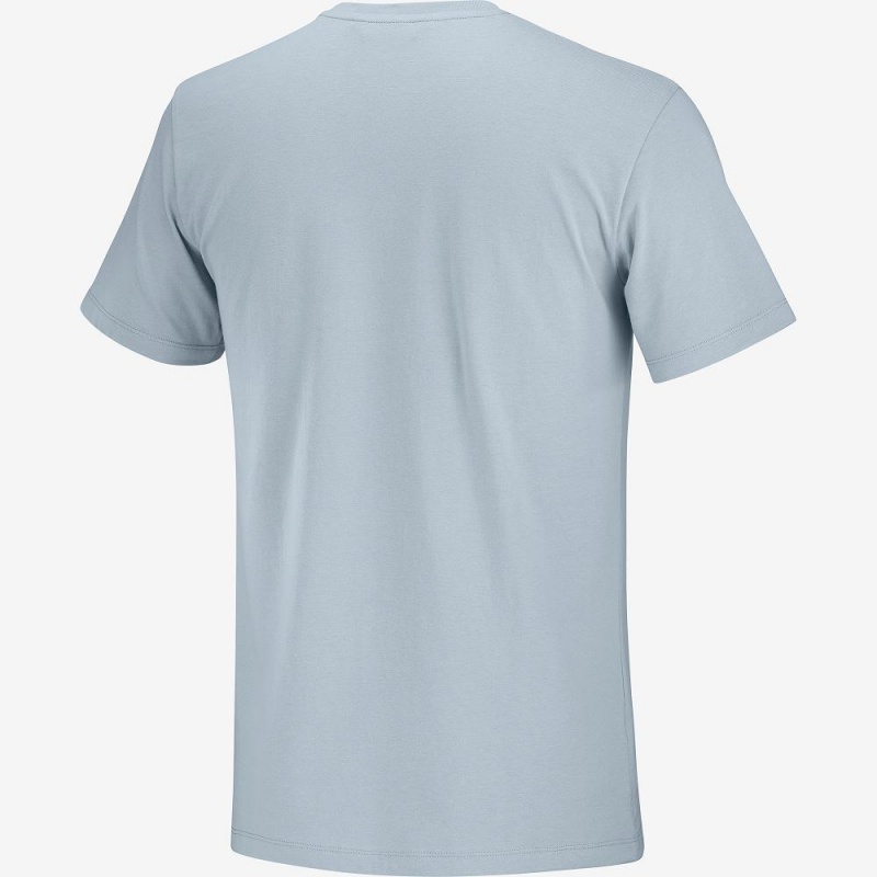 Salomon Salomon Bomulds Tee M T Shirts Herre Blå | 65780-EVRS