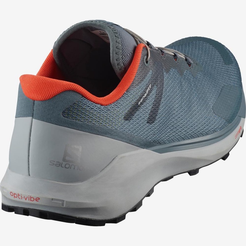 Salomon Sense Ride 3 Trail Løbesko Herre Gray | 38641-SHGI