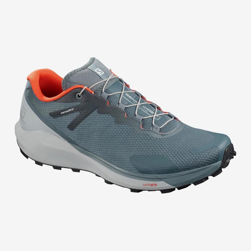 Salomon Sense Ride 3 Trail Løbesko Herre Gray | 38641-SHGI