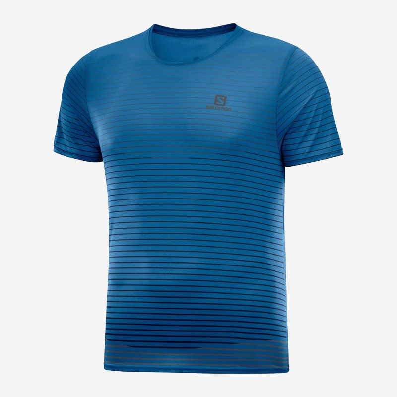 Salomon Sense Tee M Toppe Herre Blå | 12875-LXFG