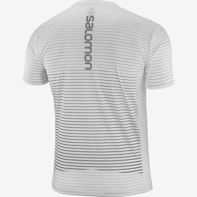 Salomon Sense Tee M Toppe Herre Hvide | 85723-LIDF