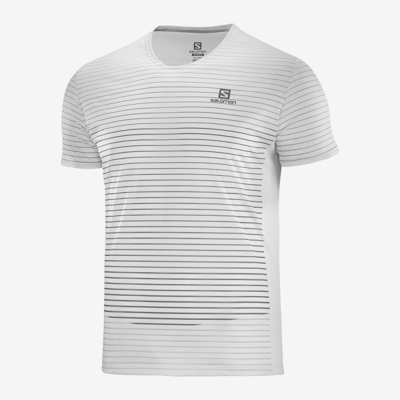 Salomon Sense Tee M Toppe Herre Hvide | 85723-LIDF