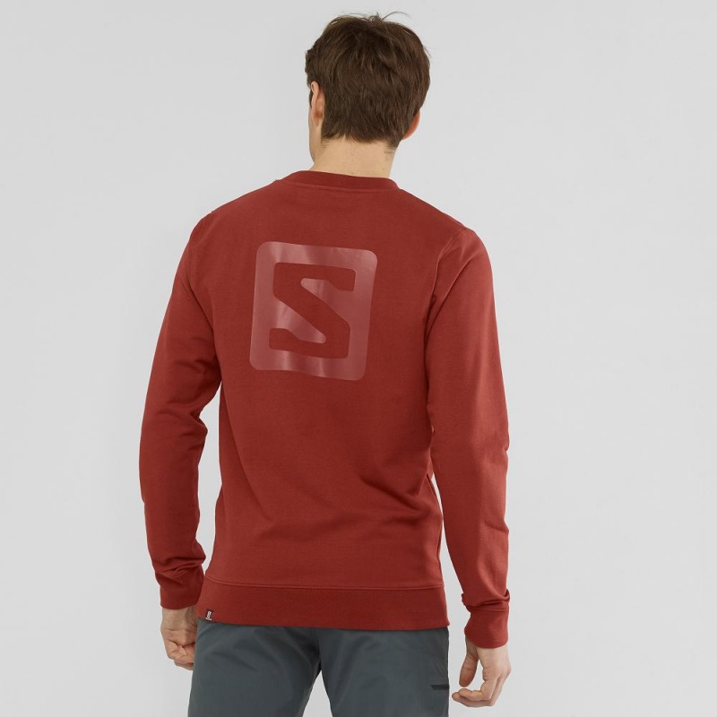 Salomon Shift Crewneck M Pullover Herre Rød | 94287-SCHO