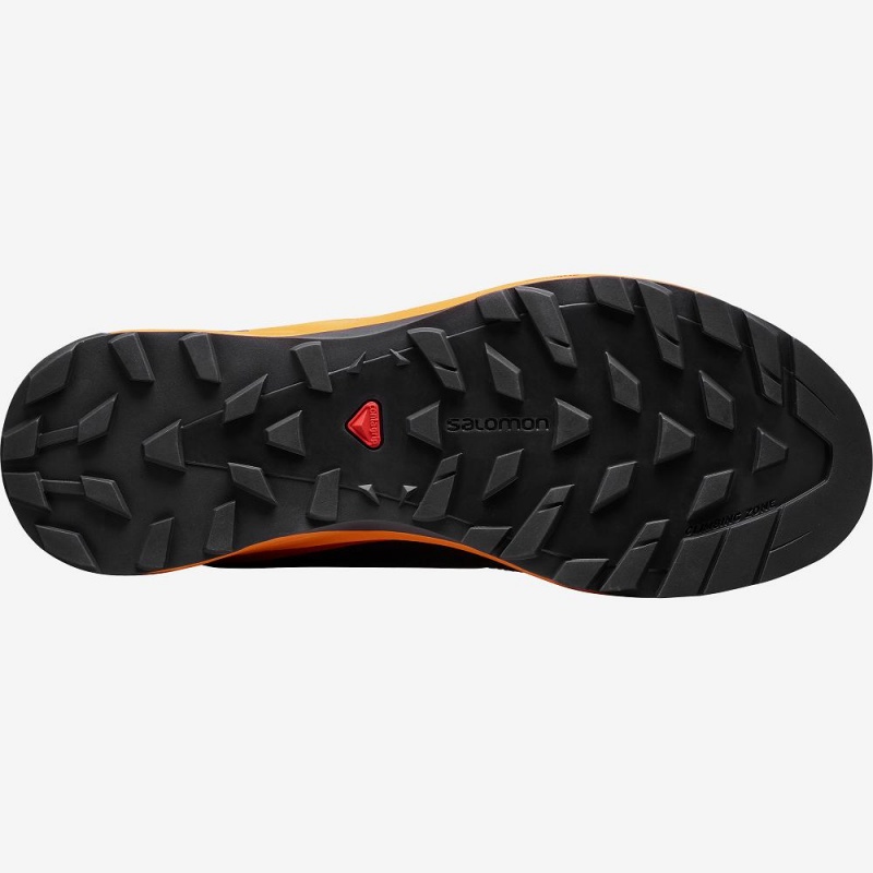 Salomon X Alpine Pro Trail Løbesko Herre Orange | 54219-DBSV