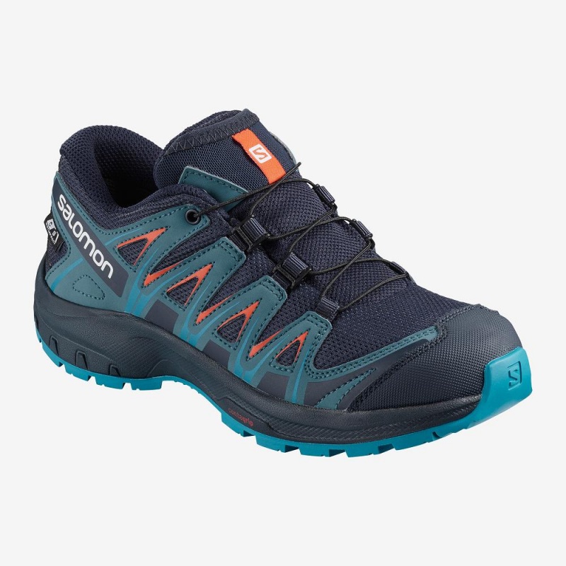 Salomon Xa Pro 3D Cswp J Trail Løbesko Børn Blå | 64521-IBXY