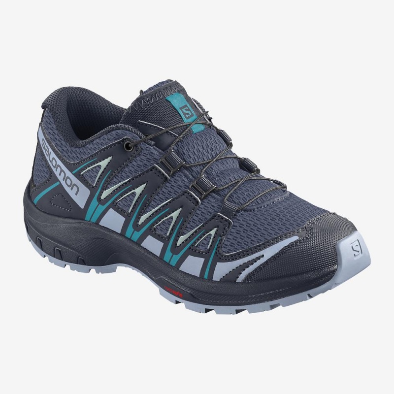 Salomon Xa Pro 3D J Trail Løbesko Børn Gray | 60592-INSC