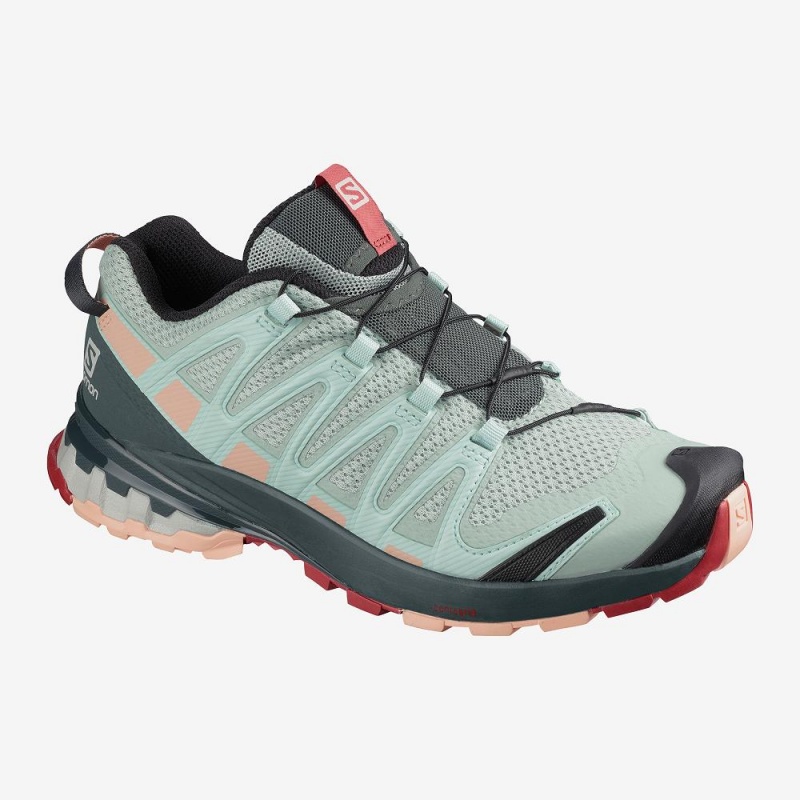 Salomon Xa Pro 3D V8 Trail Løbesko Dame Gray | 47980-HYZG